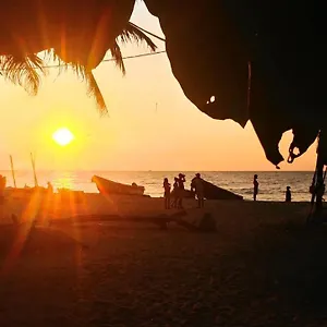 Grace , Negombo Sri Lanka